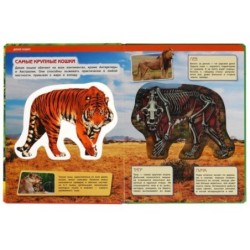 Животные, энциклопедия (с вставками из прозр. пленки)