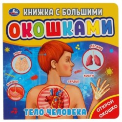 Тело человека (книжка с большими окошками)