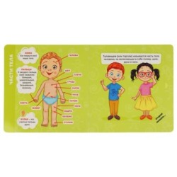 Тело человека (книжка с большими окошками)