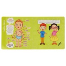 Тело человека (книжка с большими окошками)