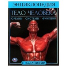 Тело человека.  Энциклопедия А4.