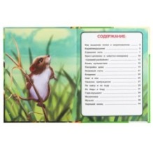 Мышонок Пик. Виталий Бианки. Детская библиотека. 4тв. переплет.