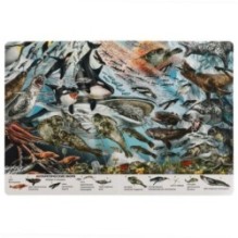 Подводный мир. Найди и покажи. Виммельбух А4