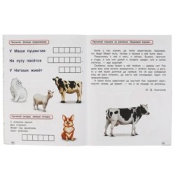 Годовой курс 6-7 лет. О. Колесникова.