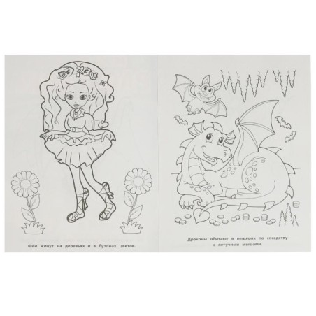 Феи и драконы. Первая Раскраска А4 Мультяшная.