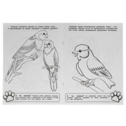 Забота о питомцах. Первая Раскраска