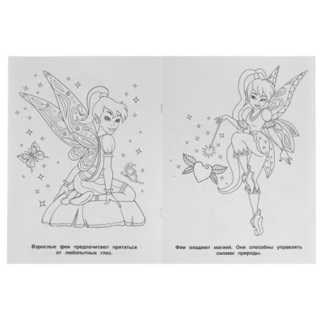 Феи и драконы. (Раскраска А4)