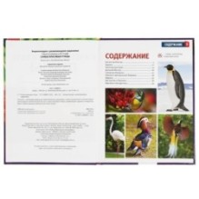 Самые красивые птицы. (Энциклопедия А4 с развивающими заданиями)