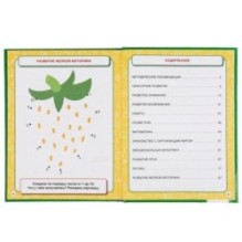 Большая книга на развитие интеллекта малыша. М.А.Жукова. (Серия: Букварь)