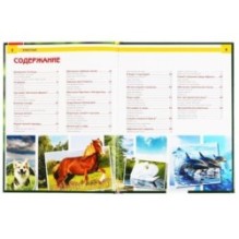 Животные. (Энциклопедия А4 с развивающими заданиями)