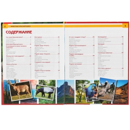 Животные красной книги. (Энциклопедия А4 с развивающими заданиями)