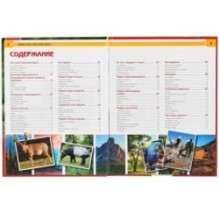 Животные красной книги. (Энциклопедия А4 с развивающими заданиями)