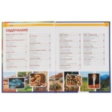 Змеи. Энциклопедия А4 с развивающими заданиями