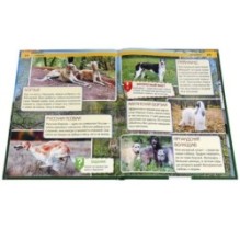 Собаки. (Энциклопедия А4 с развивающими заданиями)