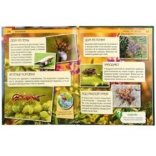 Насекомые. (Энциклопедия А4 с развивающими заданиями)