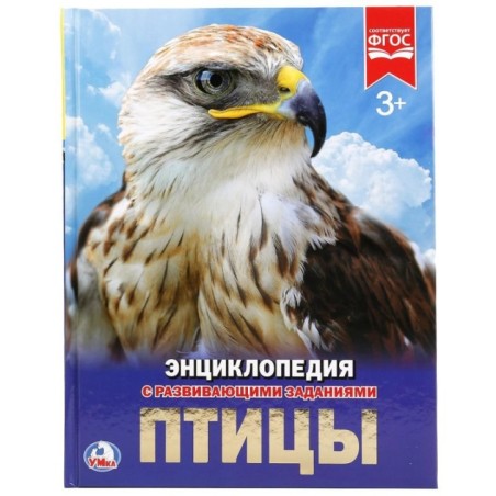 Птицы. (Энциклопедия А4 с развивающими заданиями)