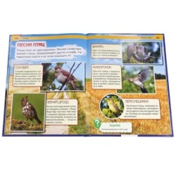 Птицы. (Энциклопедия А4 с развивающими заданиями)