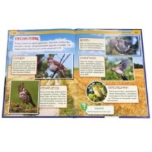 Птицы. (Энциклопедия А4 с развивающими заданиями)