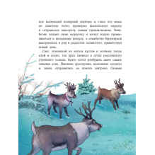 Пони Колокольчик. Чудеса на Северном полюсе