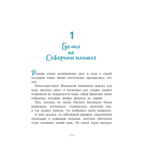 Пони Колокольчик. Чудеса на Северном полюсе