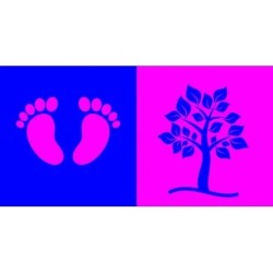 Сприймаємо колір. 3-4 м.