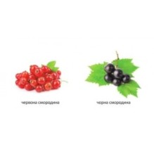 Що росте в саду?