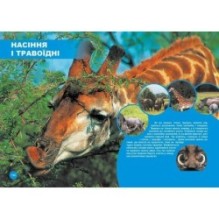 Найкращий подарунок. Хто з ким дружить, або дивовижі симбіозу