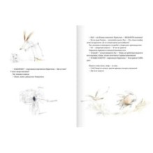 Хвороба в цяточку