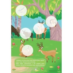 Лісові звірята