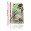 Тварини - винахідники і будівельники Тварини - винахідники і будівельники