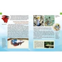 Тварини - винахідники і будівельники