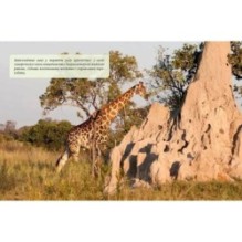 Тварини - винахідники і будівельники