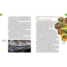 Тварини - винахідники і будівельники