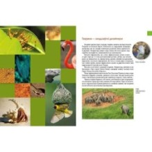 Тварини - винахідники і будівельники