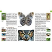 Тварини - модники й обманщики