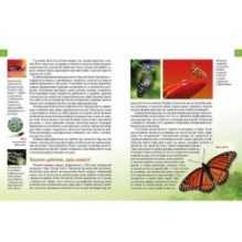 Тварини - модники й обманщики