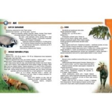 Рослини і тварини України