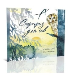 Сюрприз для сов