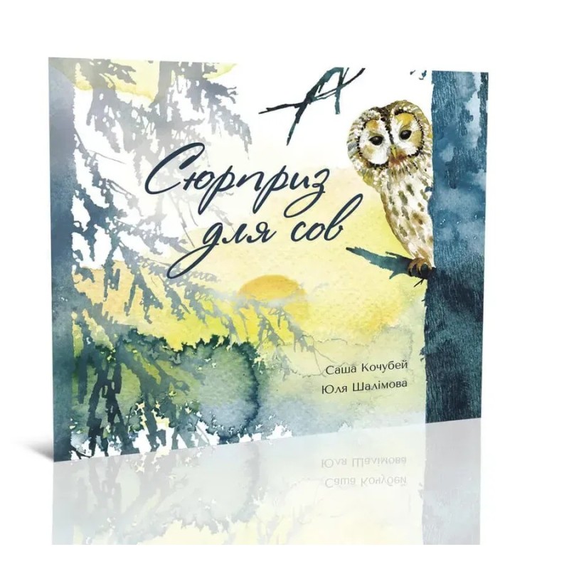 Сюрприз для сов