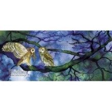 Сюрприз для сов