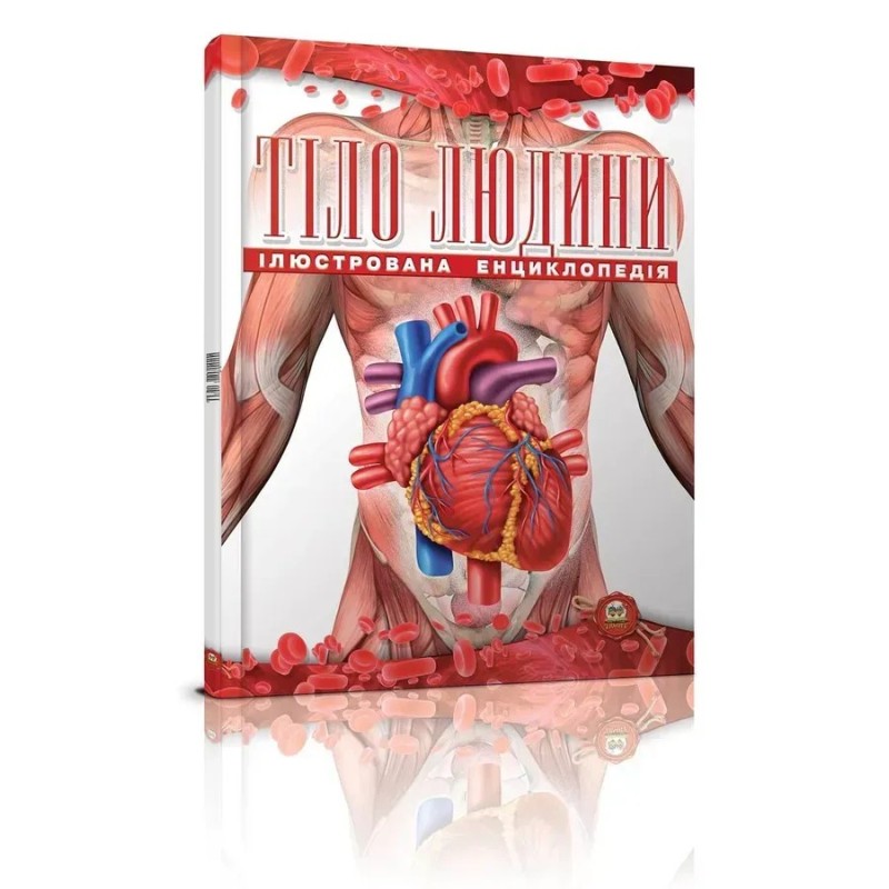 Тіло людини Тіло людини