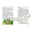 Найкращий подарунок. Історії одного домовичка Найкращий подарунок. Історії одного домовичка