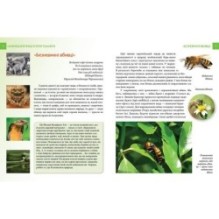 Енциклопедія для допитливих. Найнебезпечніші істоти планети