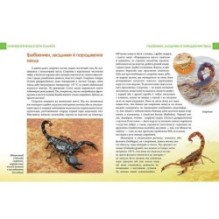 Енциклопедія для допитливих. Найнебезпечніші істоти планети