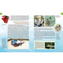 Енциклопедія для допитливих. Тварини - винахідники і будівельники