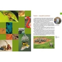 Енциклопедія для допитливих. Тварини - винахідники і будівельники