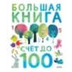 Первые книжки малыша. Большая книга. Счет до 100