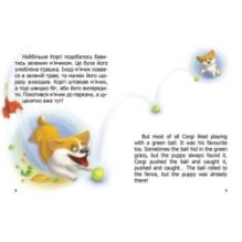 Завтра в школу. Малюк Коргі. Книжка-білінгва
