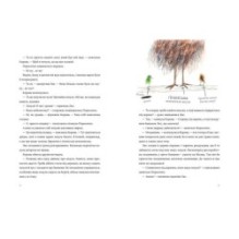 Акулиця-редьковиця та інші історії про Лиса й Поросятко