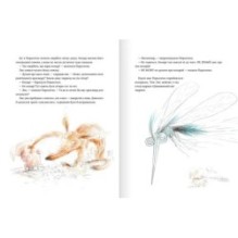 Навала комарів